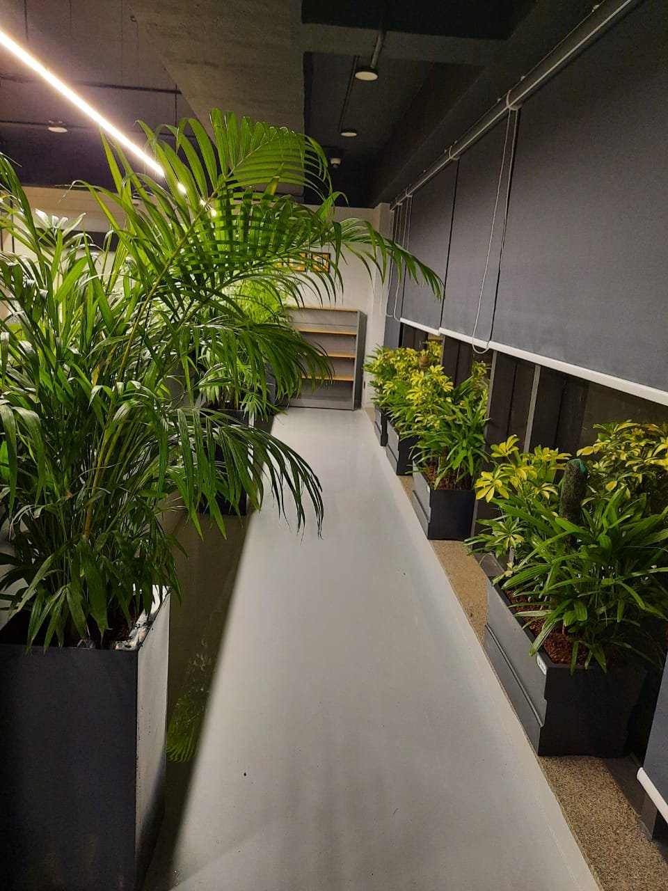 Landscape development and terrace garden