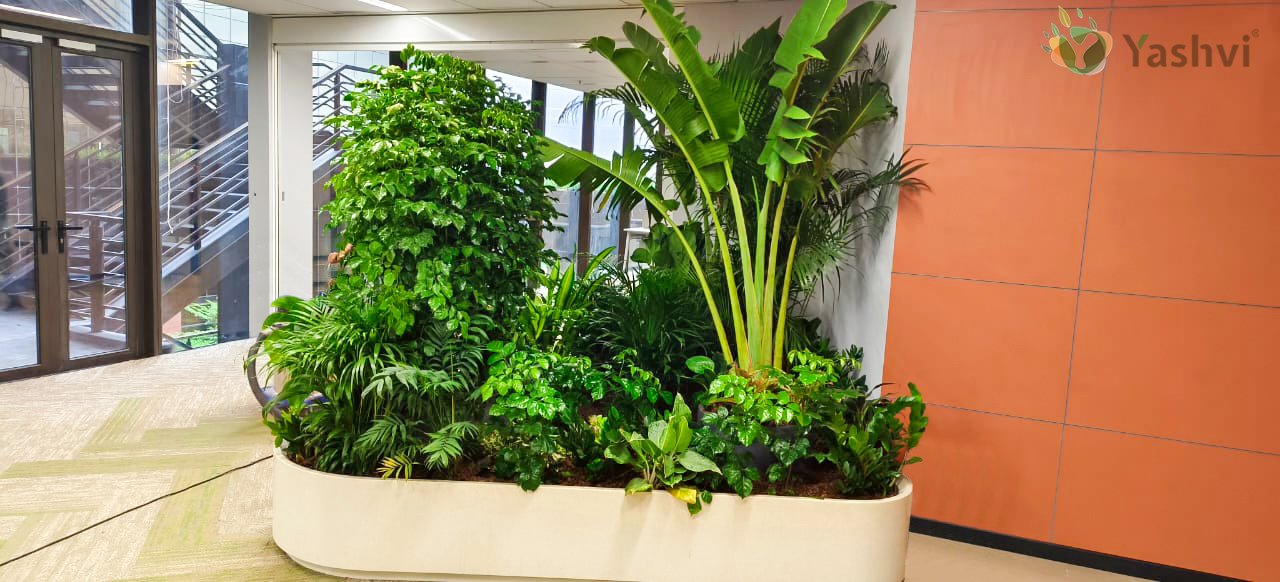 Corporate Indoor Landscape Project 6