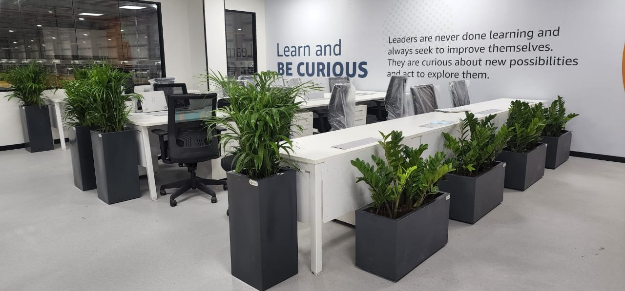 Corporate Indoor Landscape Project 2
