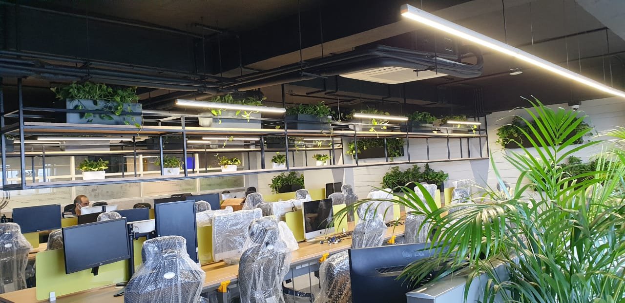 Corporate Indoor Landscape Project 4