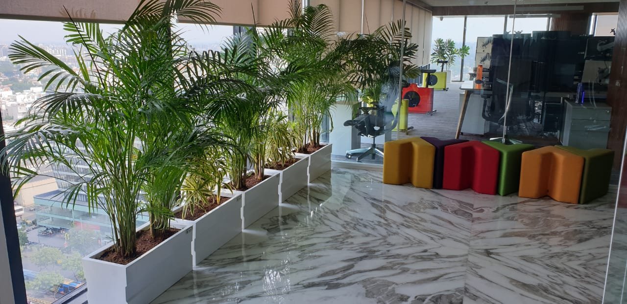 Corporate Indoor Landscape Project 3
