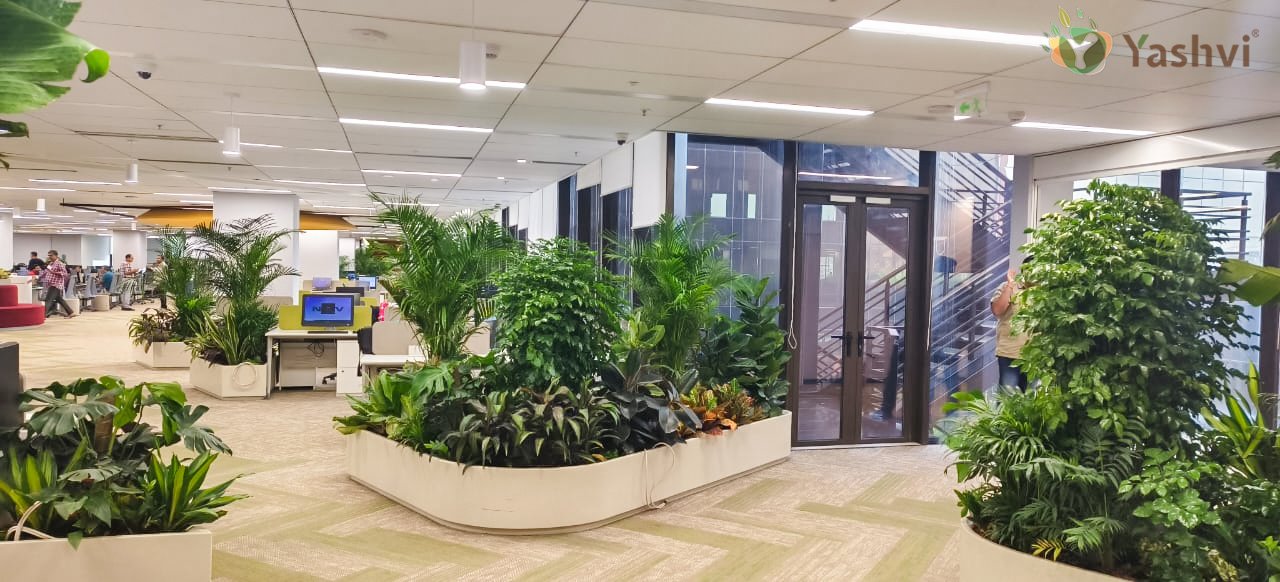 Corporate Indoor Landscape Project 5