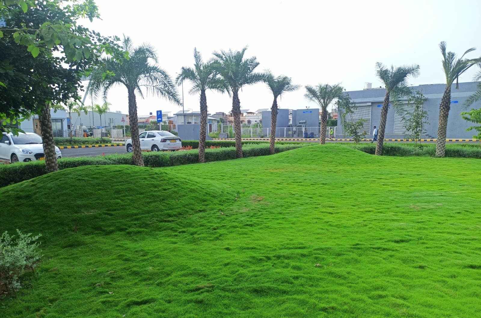 NextEdge Horticulture Project 6