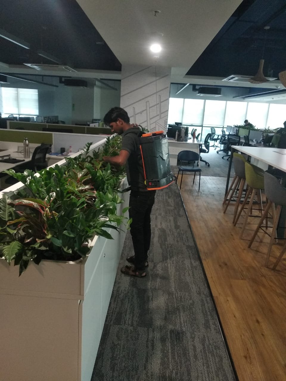 Terrace Garden Project