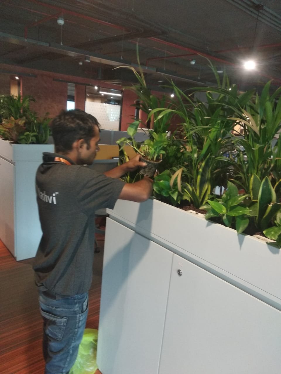 Terrace Garden Project