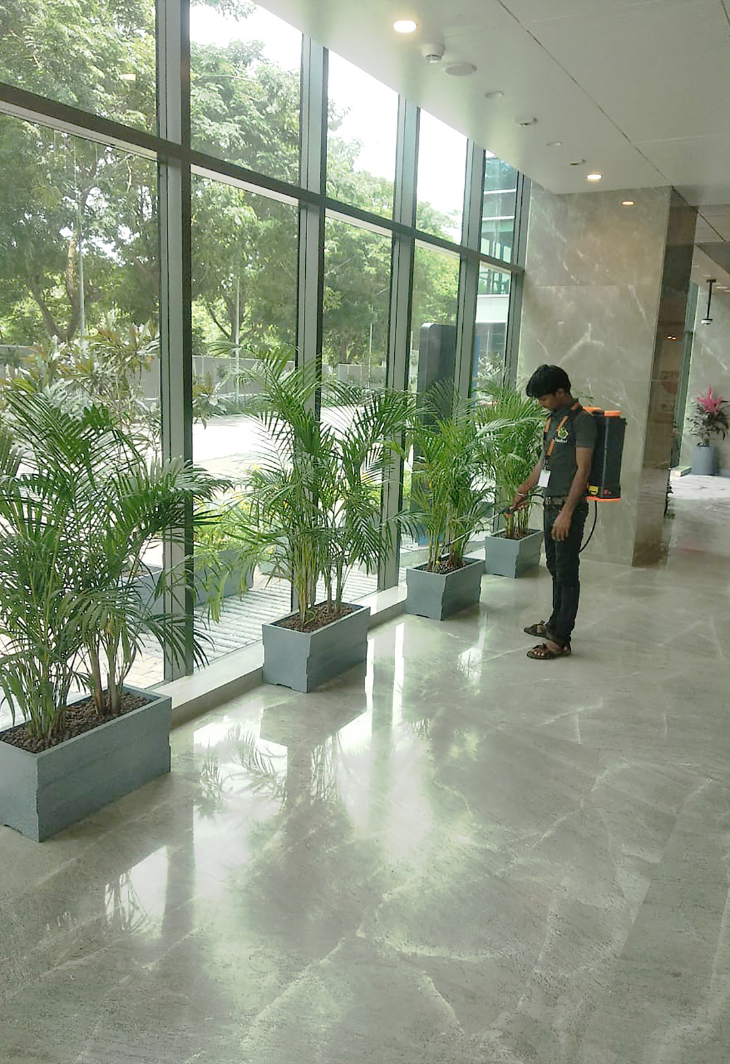 Landscape development and terrace garden