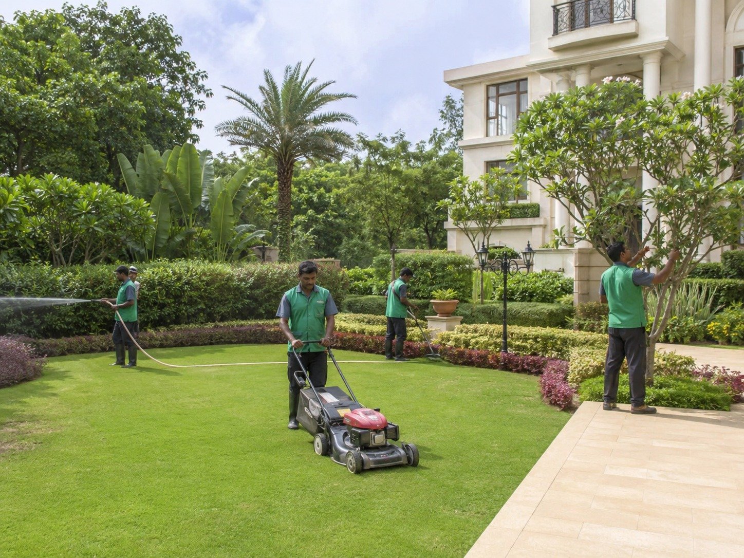 Professional landscape maintenance