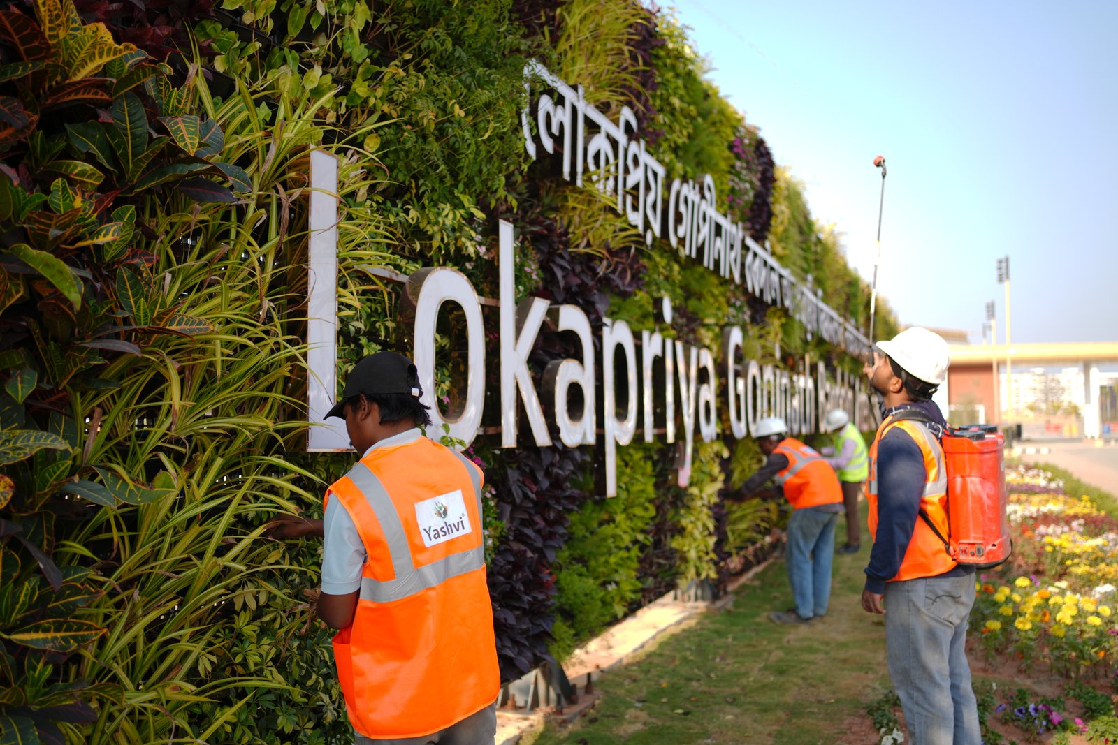 Landscape Maintenance Project