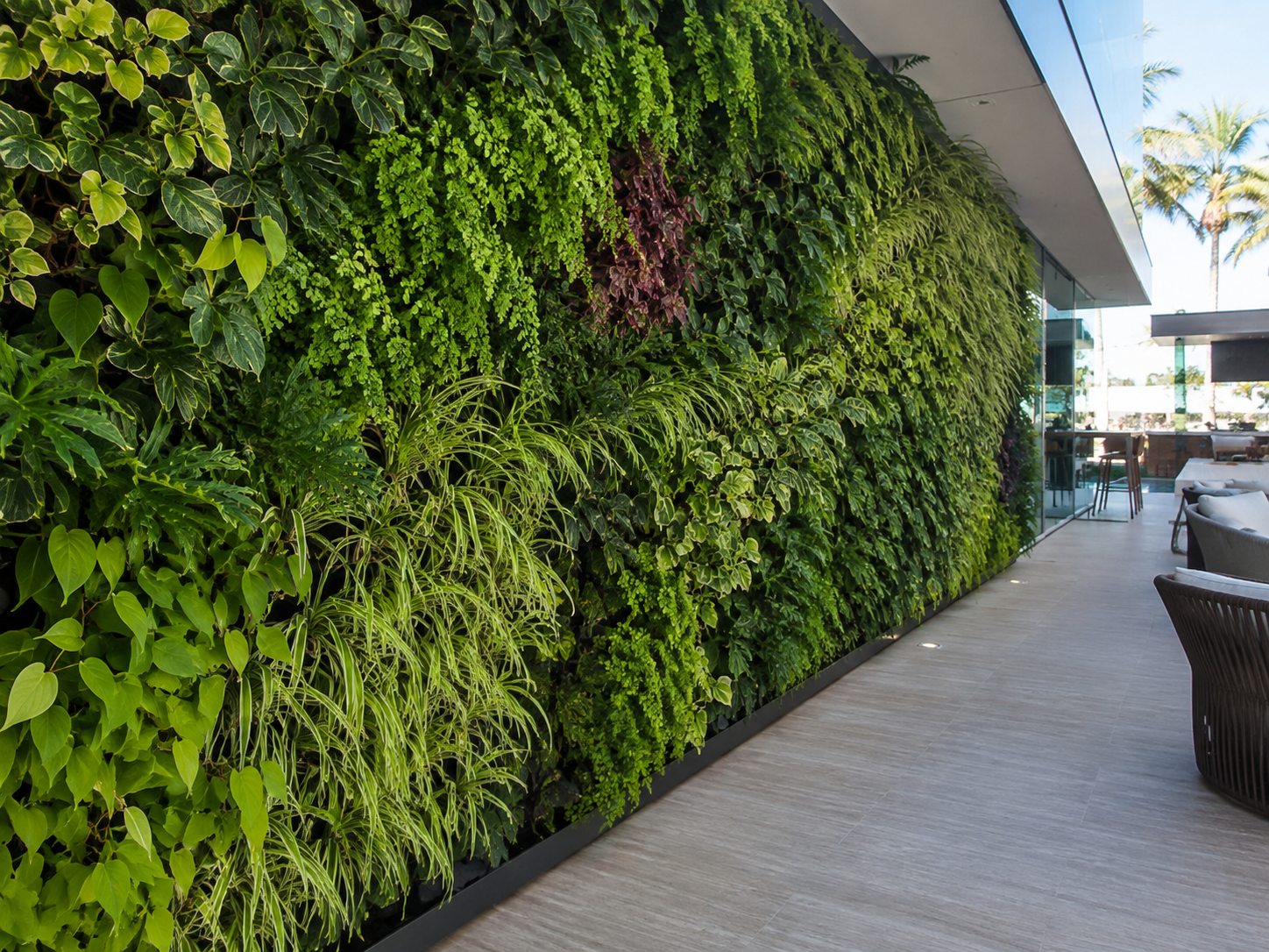 Natural live green wall